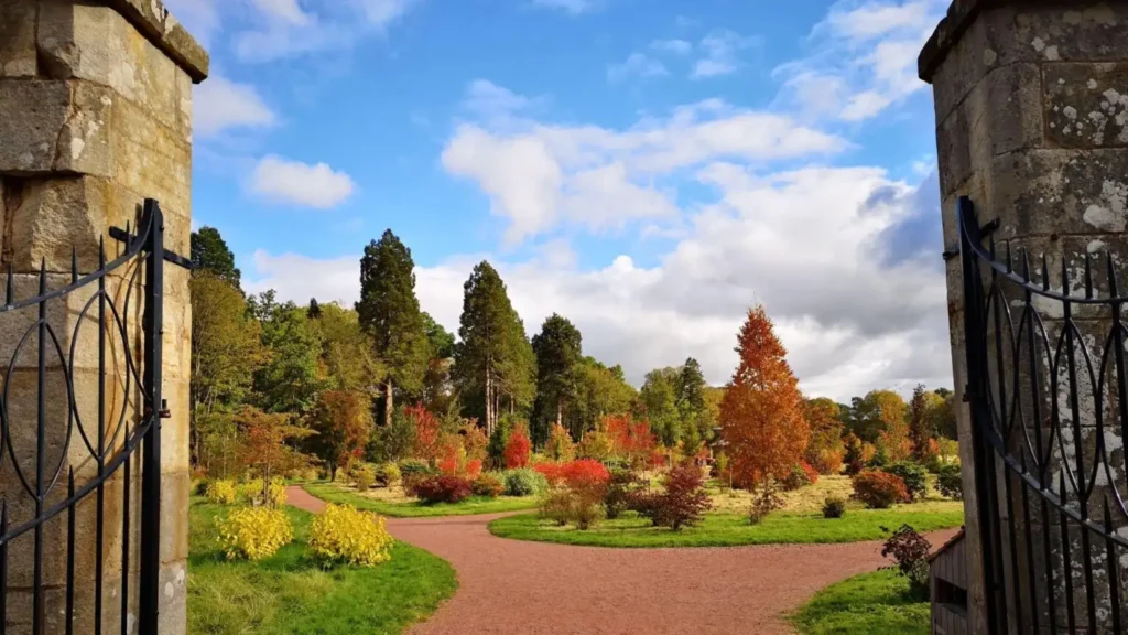View through open wrought-iron gates set in tall stone pillars, looking into an arboretum where a gravel path curves between trees and shrubs in autumn colour — reds, oranges and yellows — under a blue sky with scattered cloud.