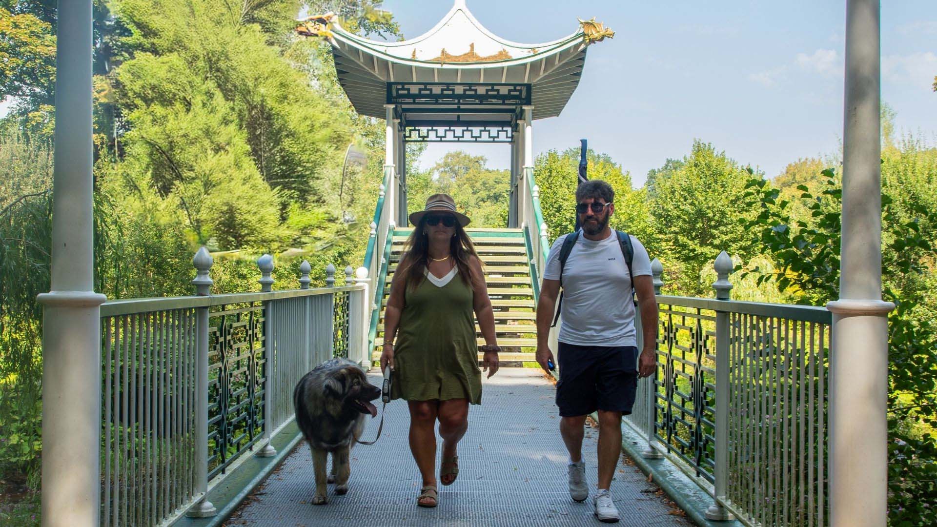A man and a woman walk a large fluffy grey and tan dog on a lead across an ornate footbridge with white and green ironwork railings.